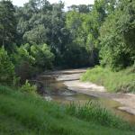 OTRA2014_1170 (September 02, 2014)